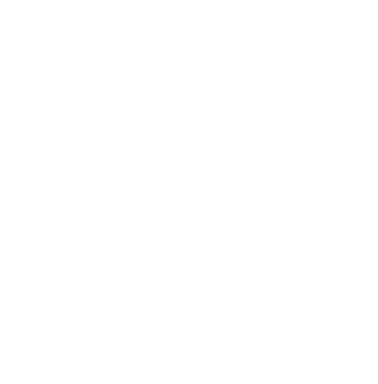 The Diabetes Family Connection